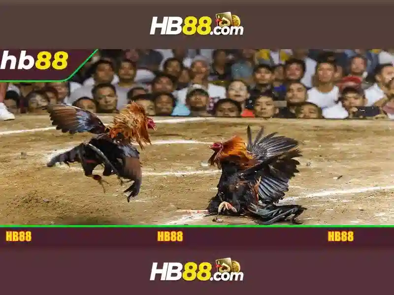 Tải App HB88