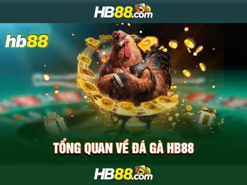 Trách Nhiệm Người Chơi