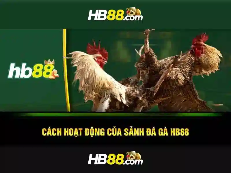 Loại Thẻ Cào HB88