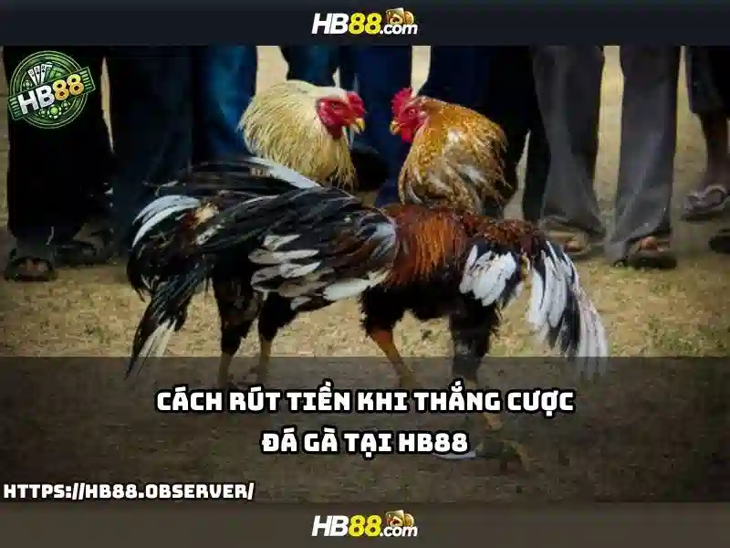 Tải HB88