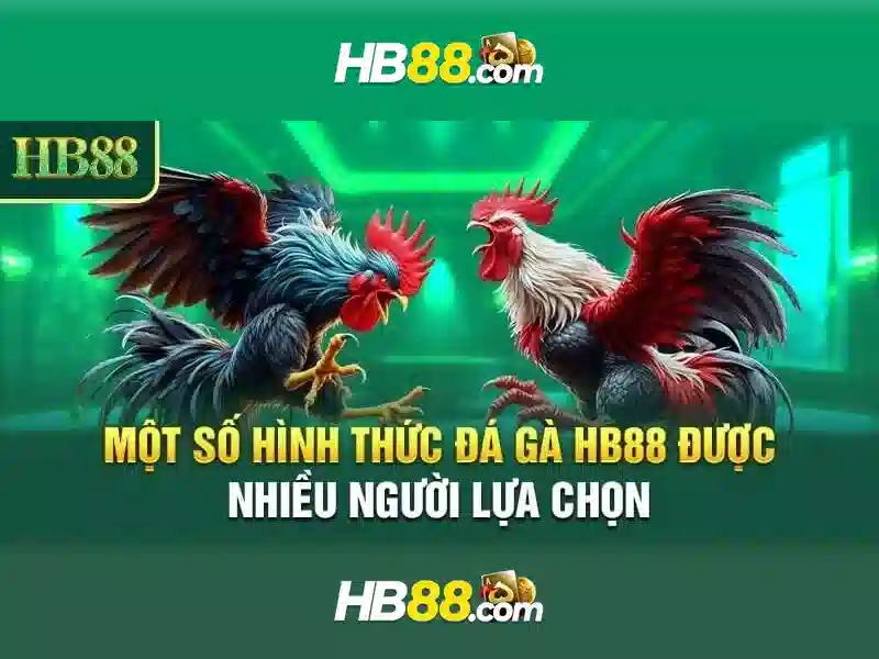 Trải nghiệm Slot tại HB88