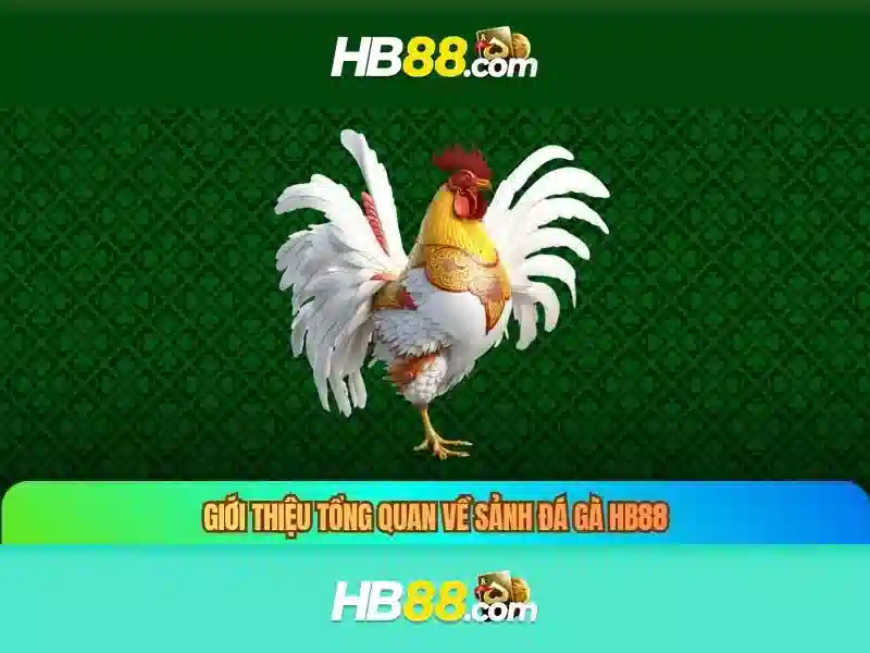 Ưu Đãi Đặc Biệt Cho Thành Viên hb88