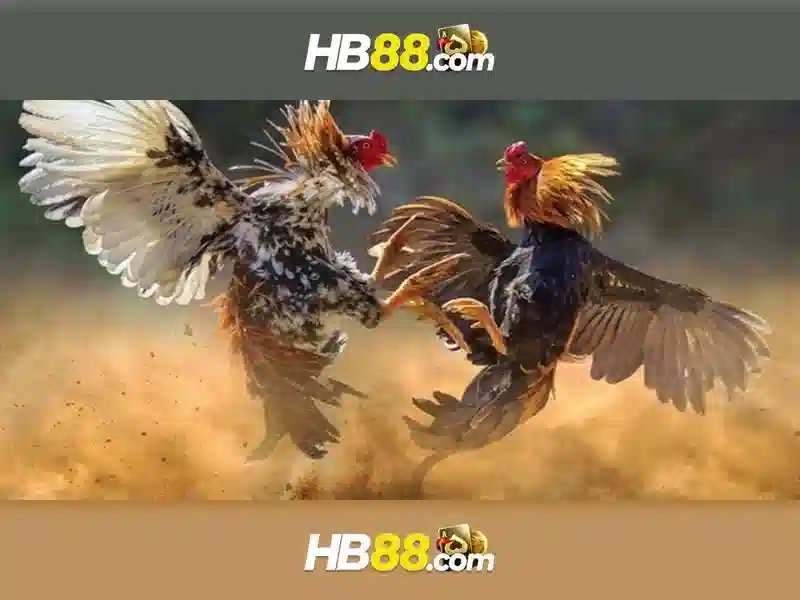 Khám phá đa dạng slot game tại HB88