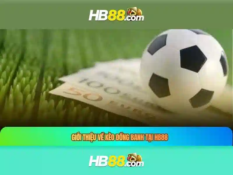 Giao diện ứng dụng hb88 com app