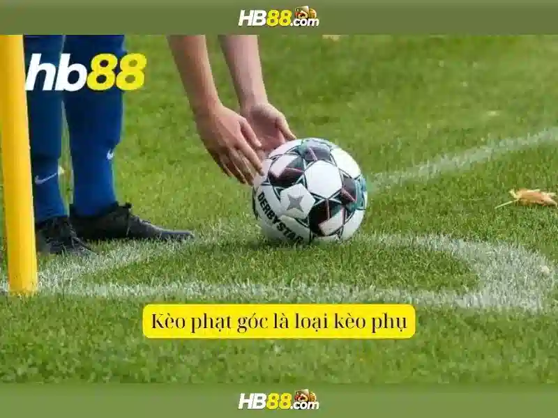 Ưu Đãi Đặc Biệt Cho Thành Viên HB88