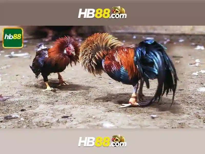 hb88 com app – Đa Dạng Trò Chơi Với Tỷ Lệ Trả Thưởng Cao