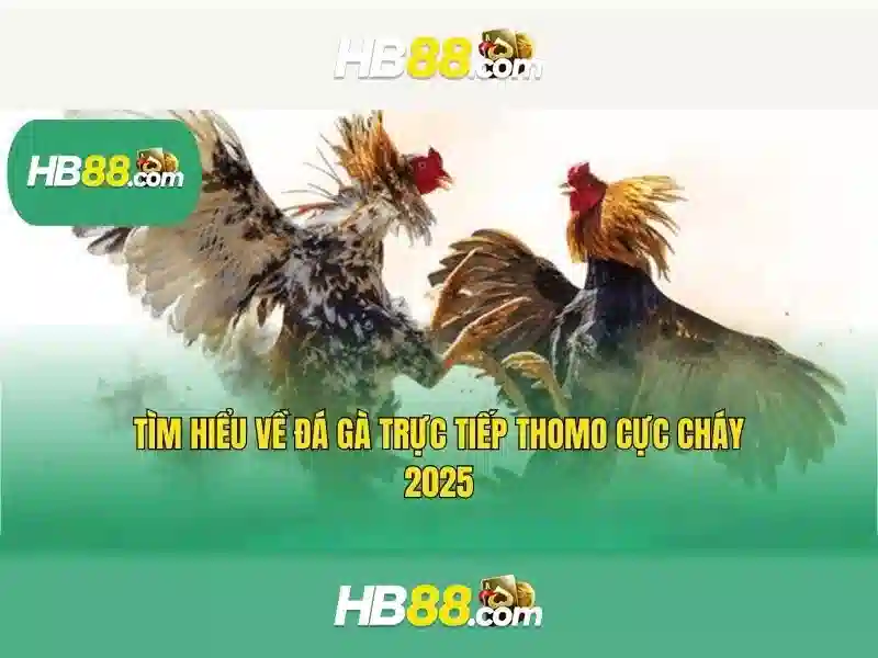 Trải Nghiệm Slot