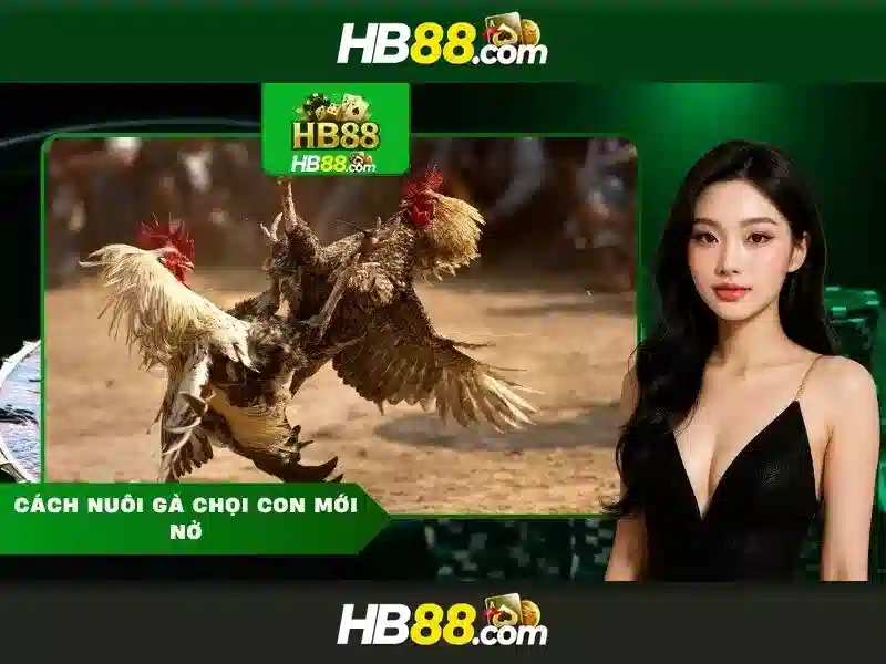 Kỹ năng chơi SLOT chuyên nghiệp