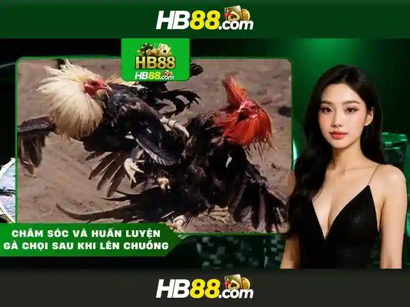 Tải App HB88 13Win Casino