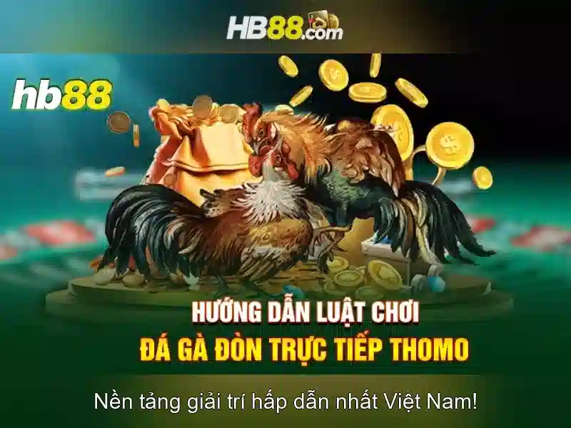 Điều Khoản Điều Kiện HB88
