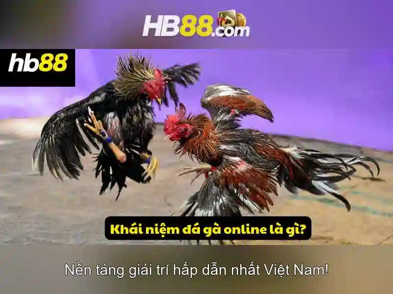 tai app HB88