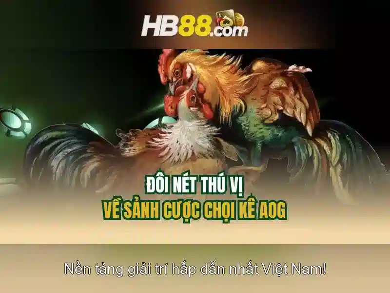 Hướng dẫn rút tiền hb88 đăng nhập cho người chơi SLOT