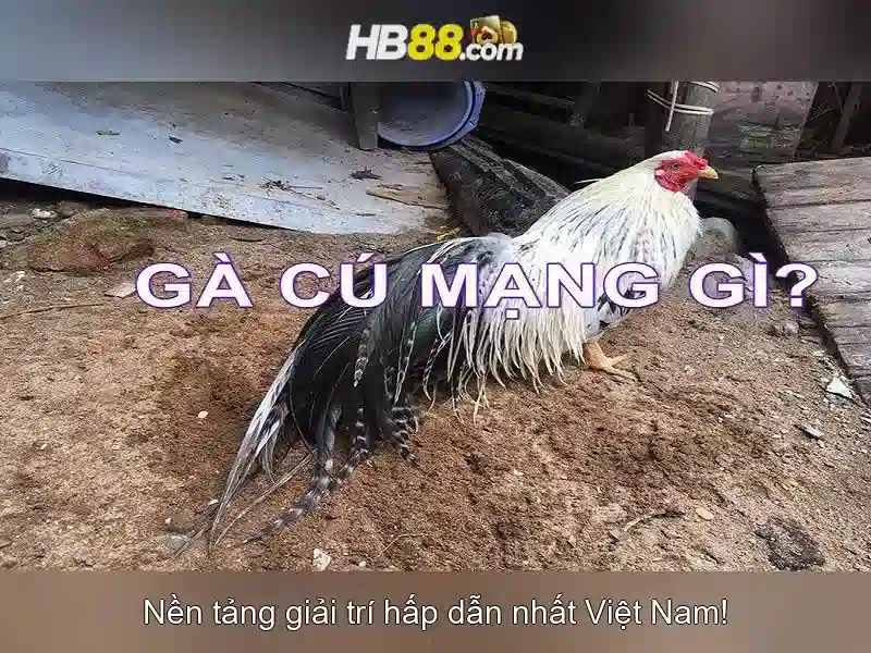HB88 - Trải Nghiệm Cược Slot Đỉnh Cao Với hb88 Uy Tín Số 1 2026