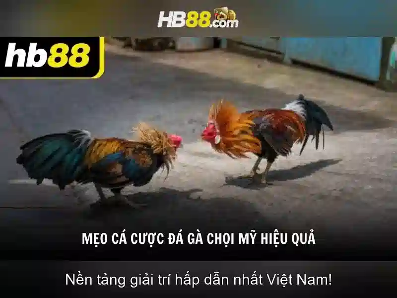 Trải Nghiệm Chất Lượng Cao