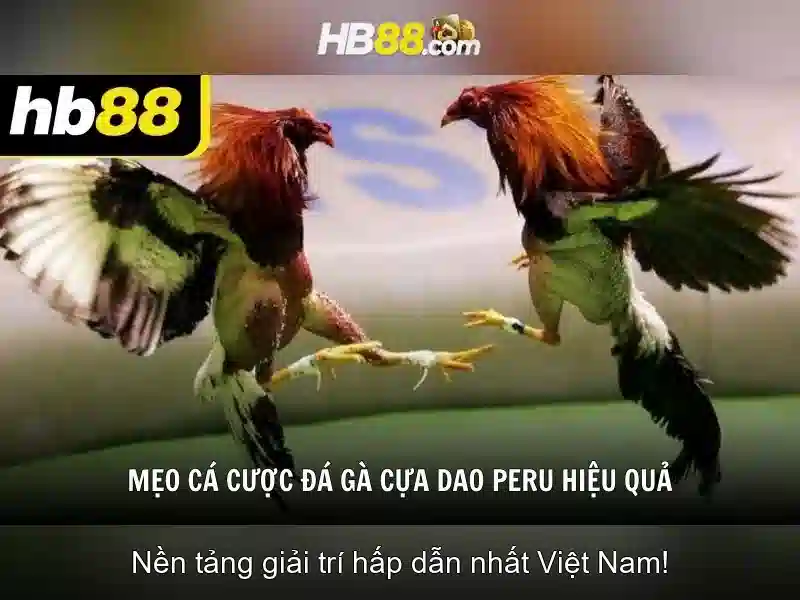 Trải Nghiệm Đăng Nhập