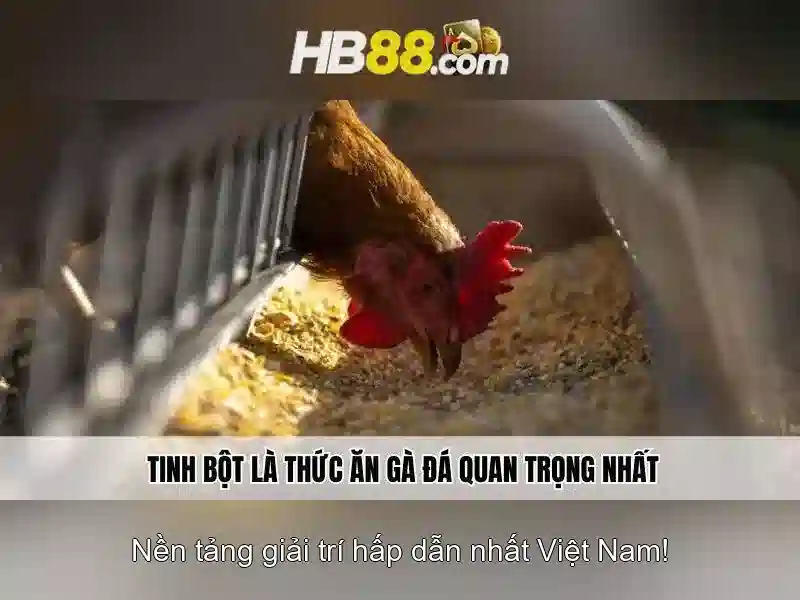 Trải nghiệm Slot đỉnh cao