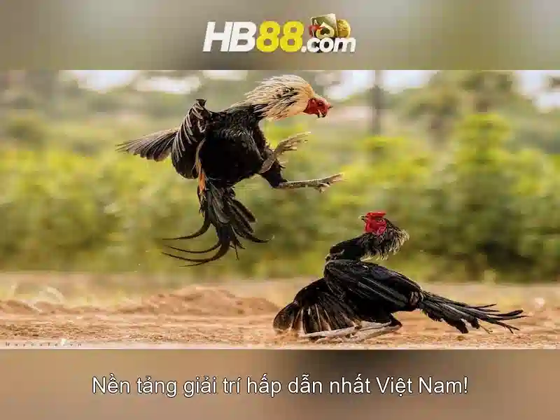 Trải nghiệm slot đỉnh cao