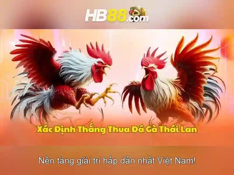 tải apk hb88