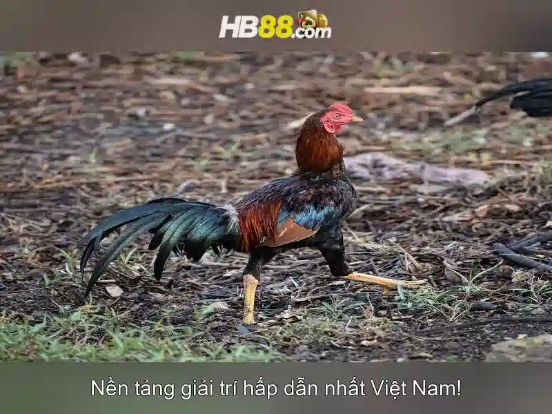 khuyến mãi slot