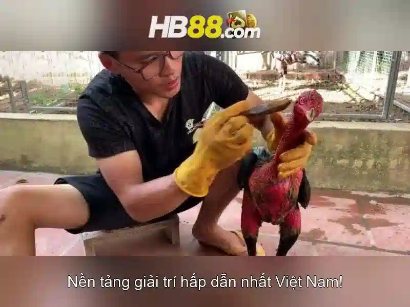Cách Tham Gia hb88 com