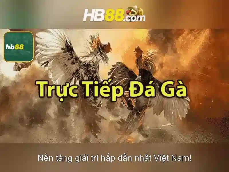 Lý Do Chọn Slot