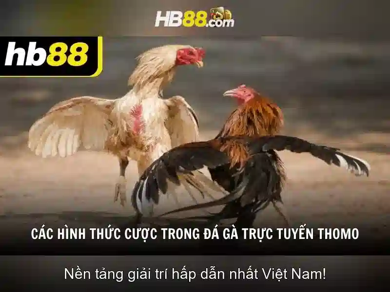 Đánh Giá Từ Người Chơi Thực Tế