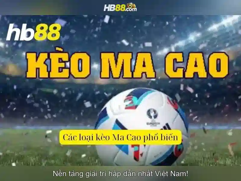 HB88 – Hướng Dẫn Đăng Nhập Vào Trang Chủ HB88 Dành Cho Người Mới