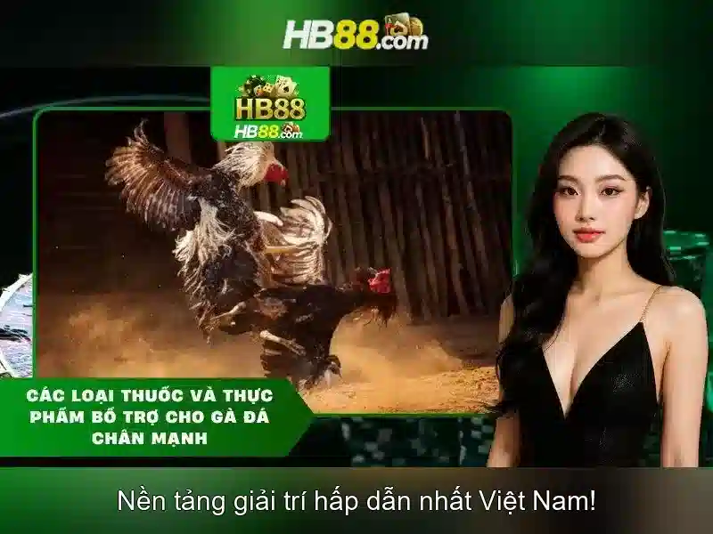 Ưu Đãi Đăng Nhập hb88