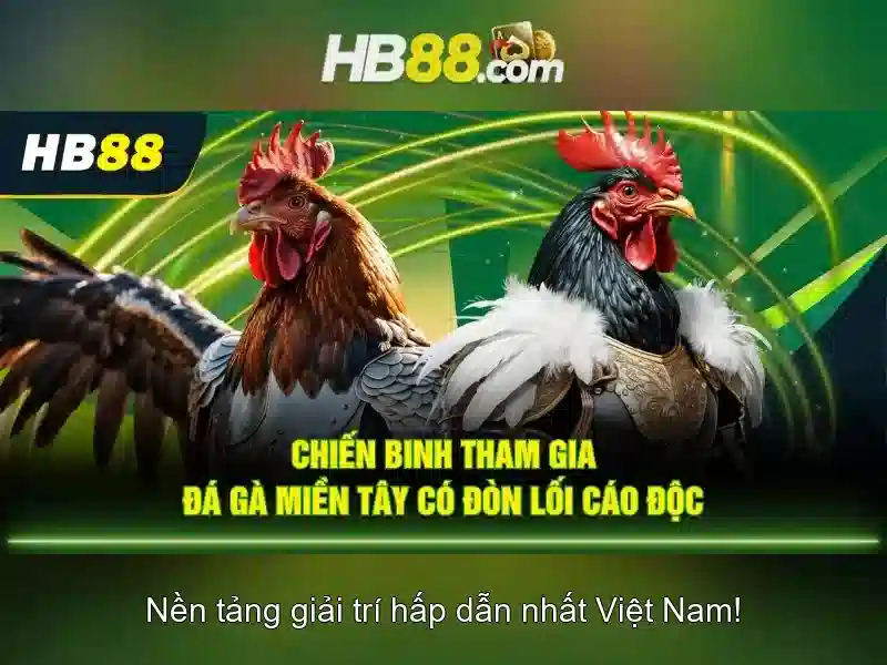HB88 khuyến mãi