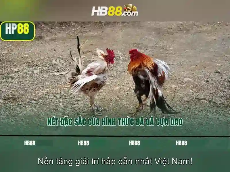 Kết nối cộng đồng Slot