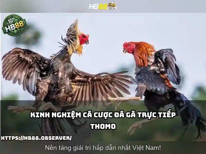 Tính năng nổi bật